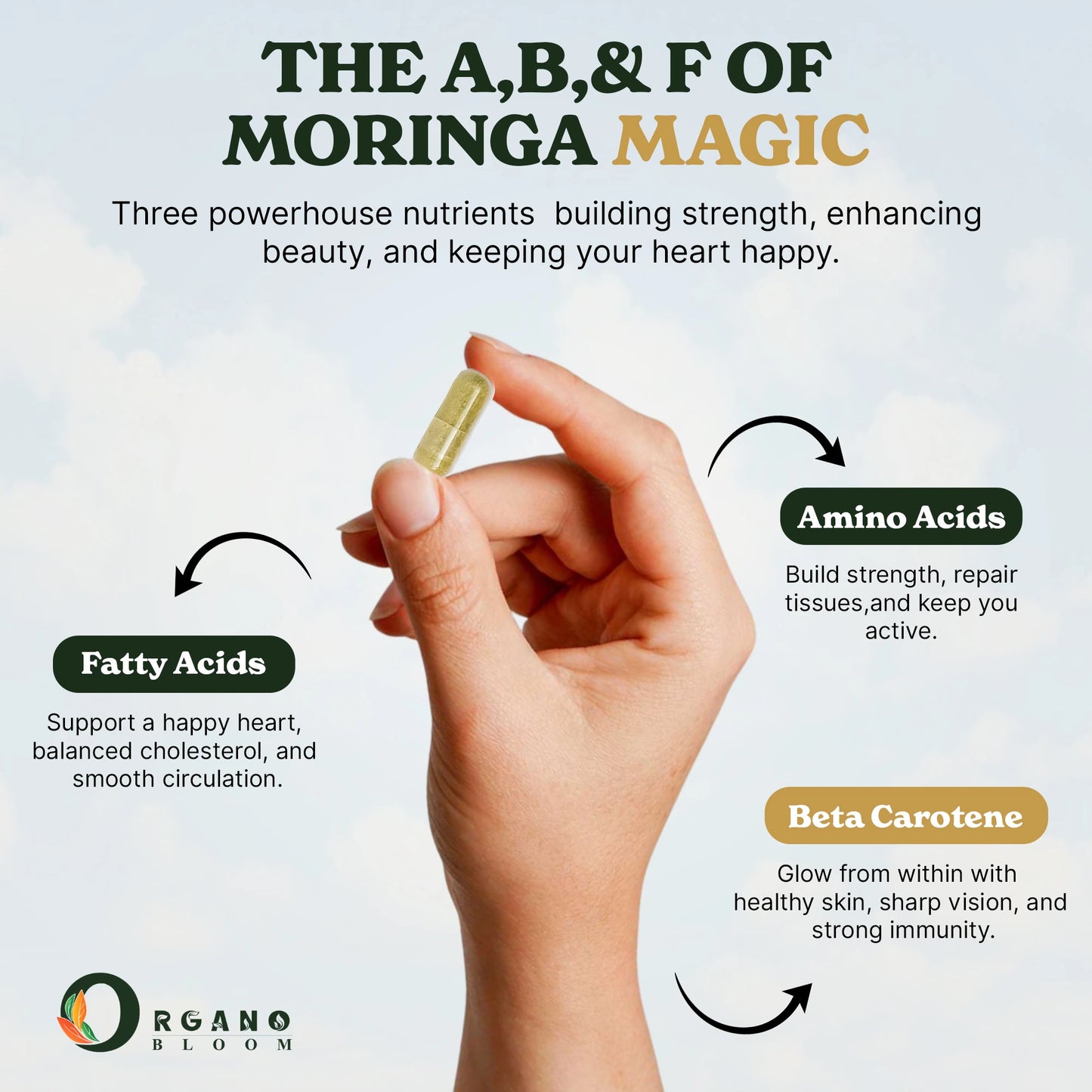 Organic Moringa Capsules – 90ct
