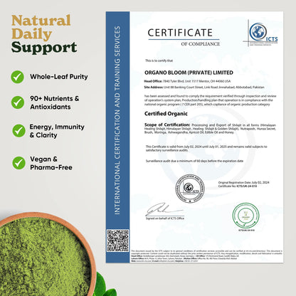 Organic Moringa Capsules – 90ct